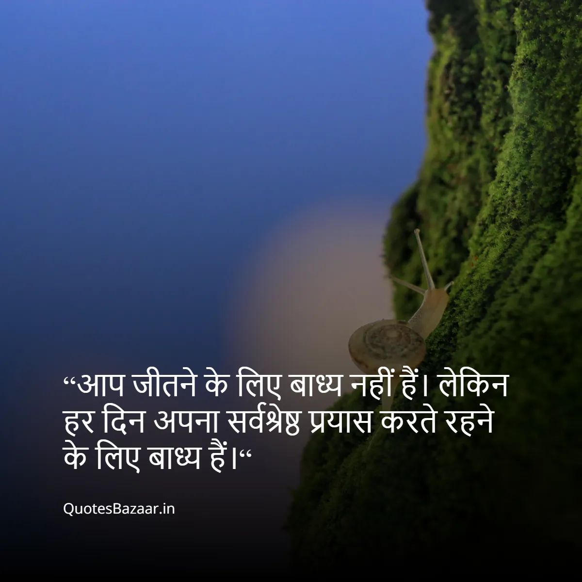 “आप जीतने के लिए बाध्य नहीं हैं। 
लेकिन हर दिन अपना सर्वश्रेष्ठ प्रयास करते रहने के लिए बाध्य हैं।“