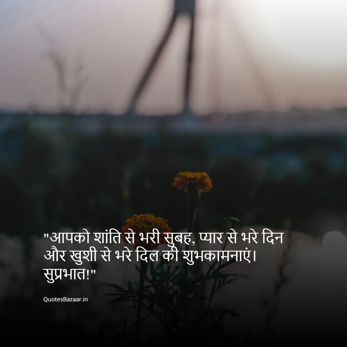 आपको शांति से भरी सुबह, प्यार से भरे दिन और खुशी से भरे दिल की शुभकामनाएं। सुप्रभात!