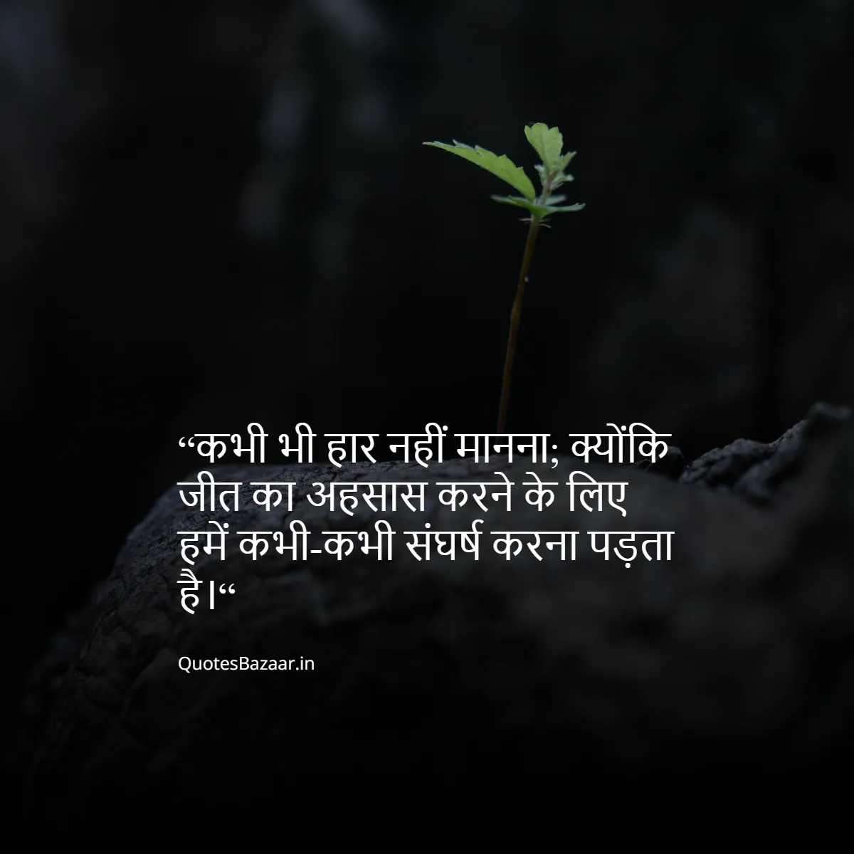 “कभी भी हार नहीं मानना; क्योंकि जीत का अहसास करने के लिए हमें कभी-कभी संघर्ष करना पड़ता है।“