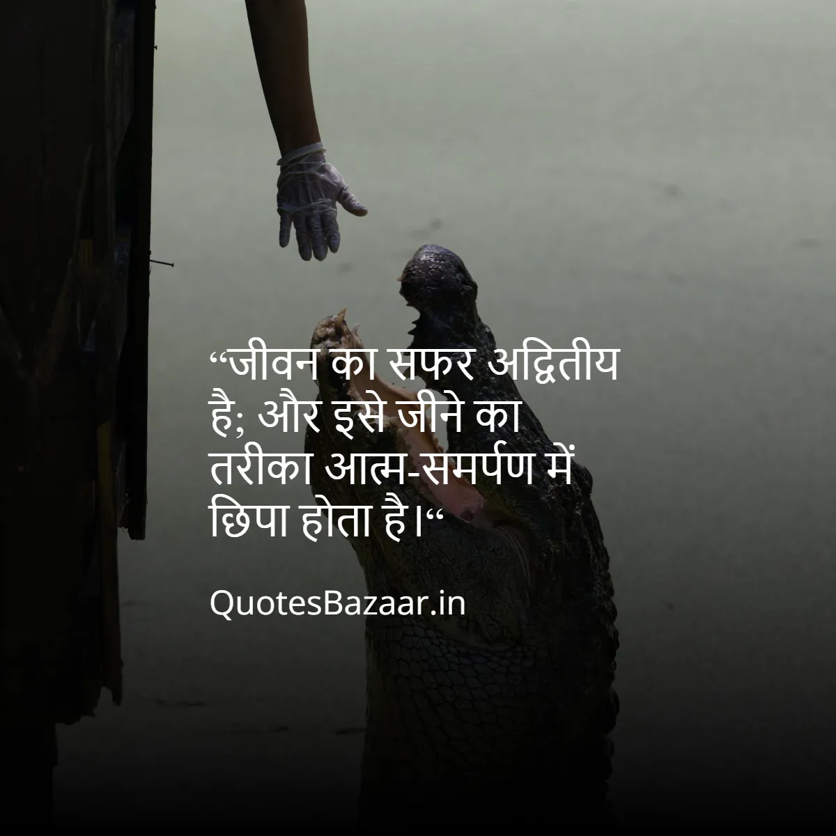 “जीवन का सफर अद्वितीय है;
और इसे जीने का तरीका आत्म-समर्पण में छिपा होता है।“