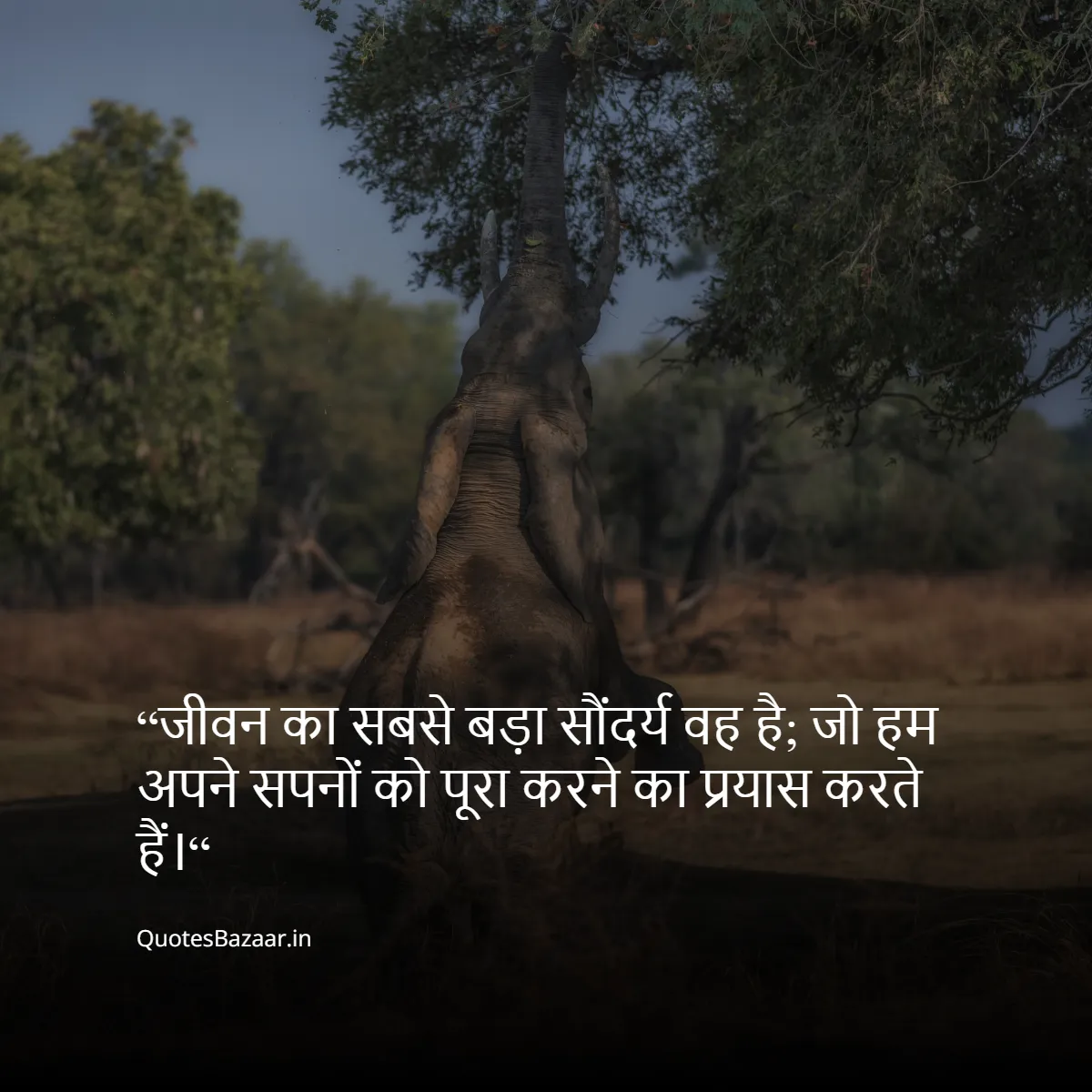 “जीवन का सबसे बड़ा सौंदर्य वह है; जो अपनी खुद की मुस्कान में छुपा होता है।“