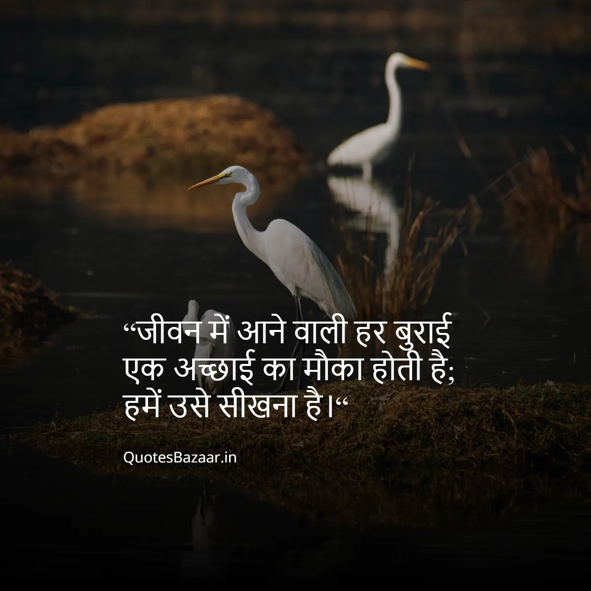 “जीवन में आने वाली हर बुराई एक अच्छाई का मौका होती है;
हमें उसे सीखना है।“