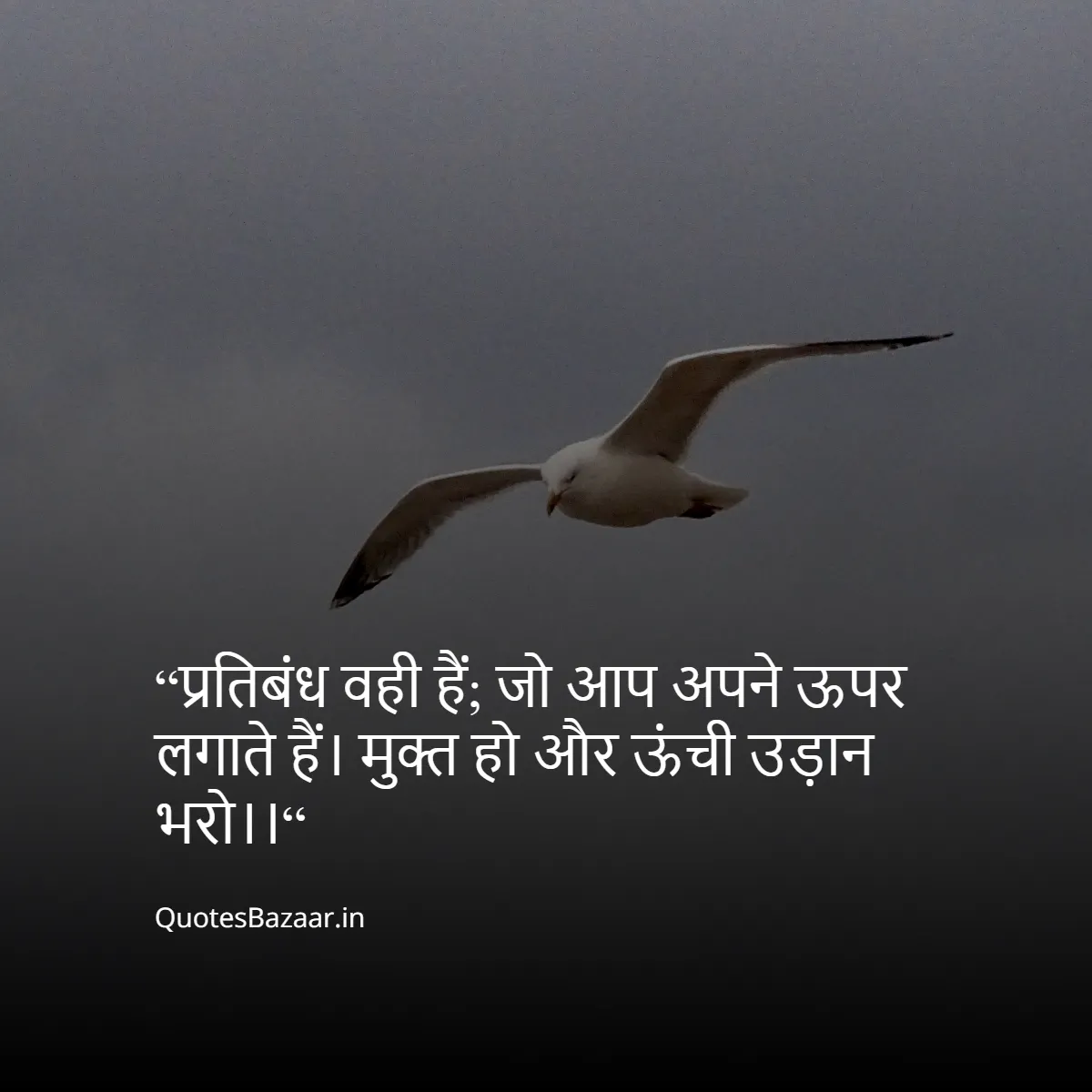 “प्रतिबंध वही हैं; जो आप अपने ऊपर लगाते हैं।
मुक्त हो और ऊंची उड़ान भरो।।“