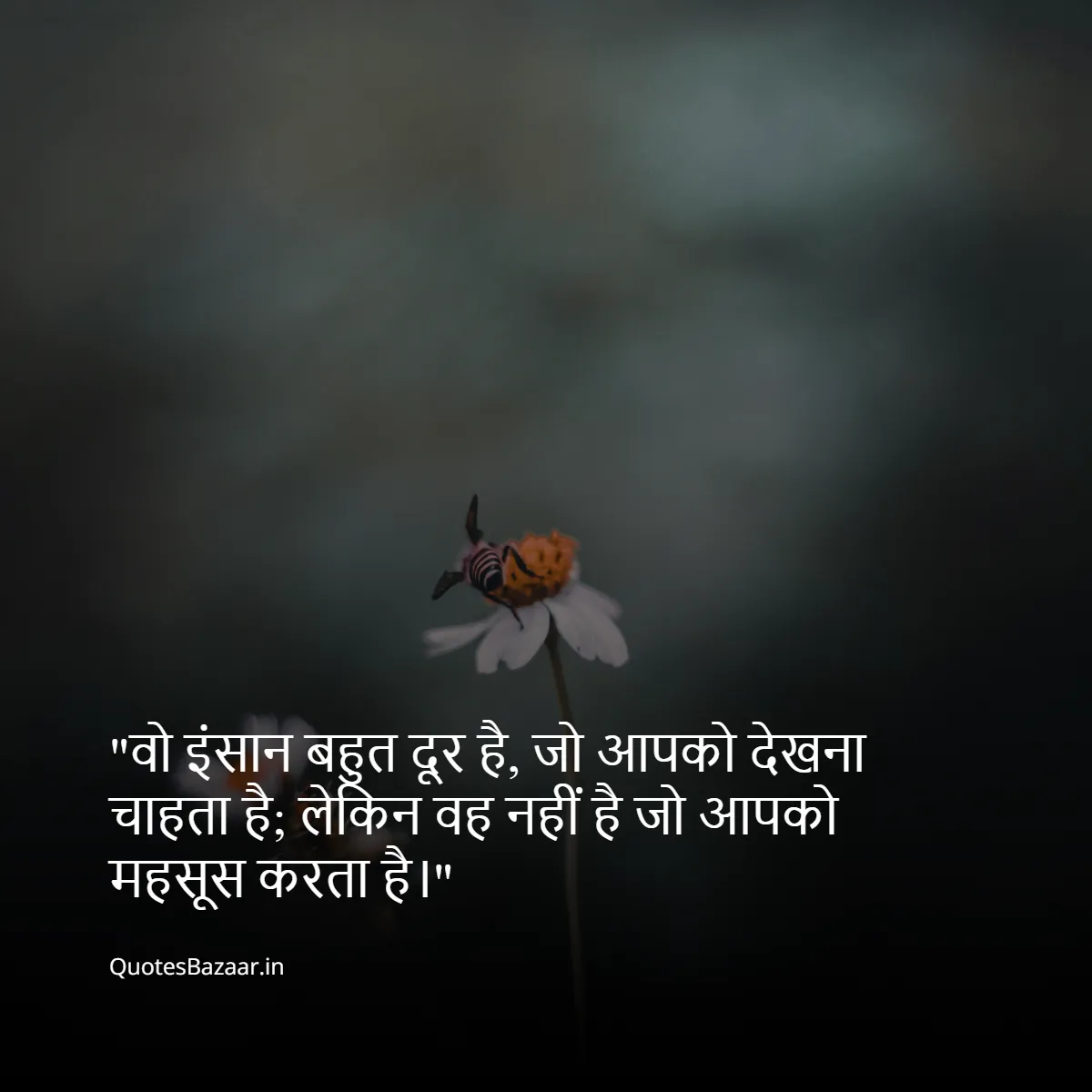 वो इंसान बहुत दूर है, जो आपको देखना चाहता है;
लेकिन वह नहीं है जो आपको महसूस करता है।