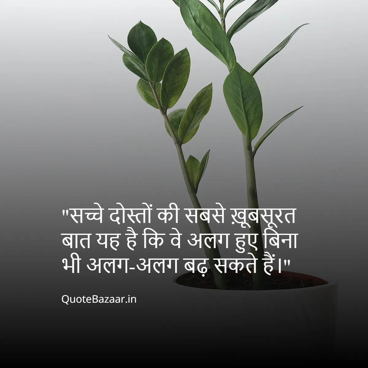 सच्चे दोस्तों की सबसे ख़ूबसूरत बात यह है कि वे अलग हुए बिना भी अलग-अलग बढ़ सकते हैं।